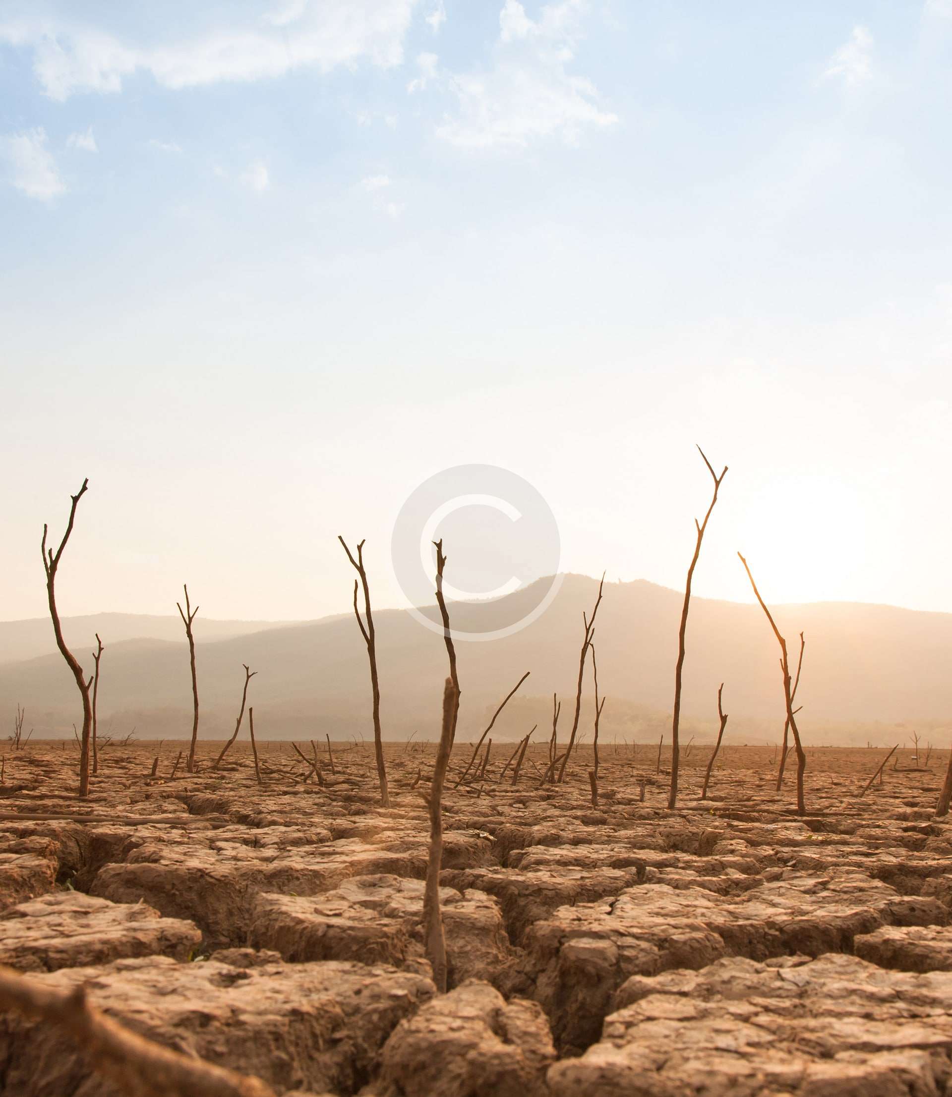 Gestión Ambiental